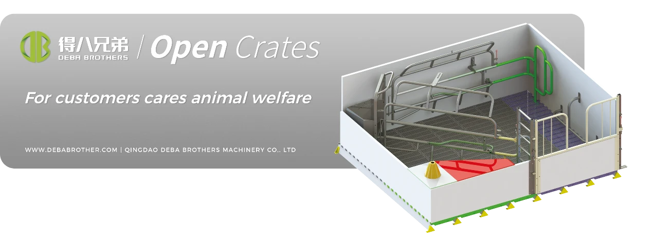 DEBA ब्रदर्स ओपन सो बेड को अपने उपयोगकर्ता के अनुकूल डिजाइन के लिए दुनिया भर में मान्यता मिली है