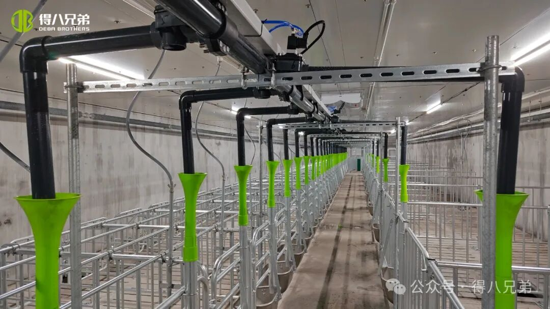 डेबा ब्रदर लिचा ब्लैक पिग प्रजनन और खेती प्रदर्शन बेस - 2,000 सूअरों का एकीकृत संचालन, 50,000 वार्षिक वध, 67,000 वर्ग मीटर