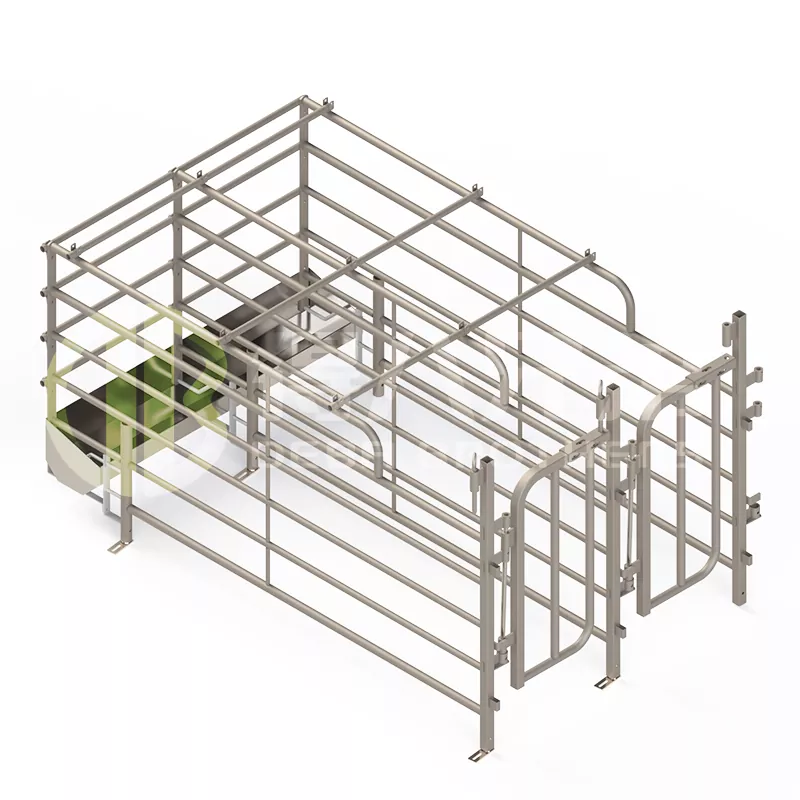 व्यापक स्पैनिश फ्री-एक्सेस सुअर स्टॉल